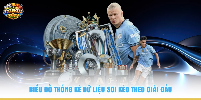 Biểu đồ thống kê dữ liệu soi kèo theo giải đấu