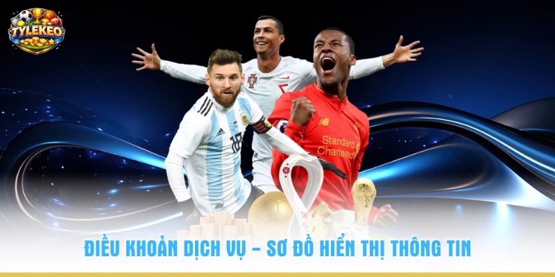 Điều khoản dịch vụ - Sơ đồ hiển thị thông tin