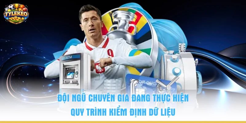 Đội ngũ chuyên gia đang thực hiện quy trình kiểm định dữ liệu