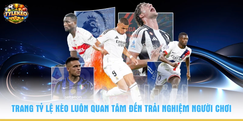 Trang Tỷ Lệ kèo luôn quan tâm đến trải nghiệm người chơi